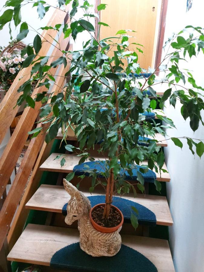 プトゥイApartma Reichアパートメント エクステリア 写真