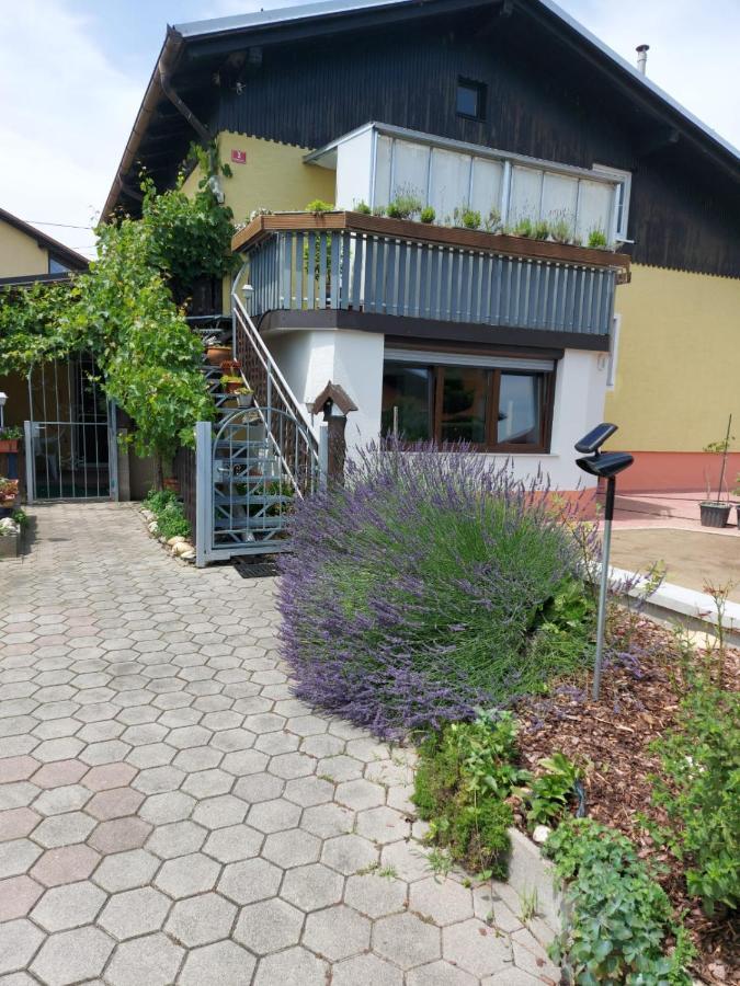 プトゥイApartma Reichアパートメント エクステリア 写真